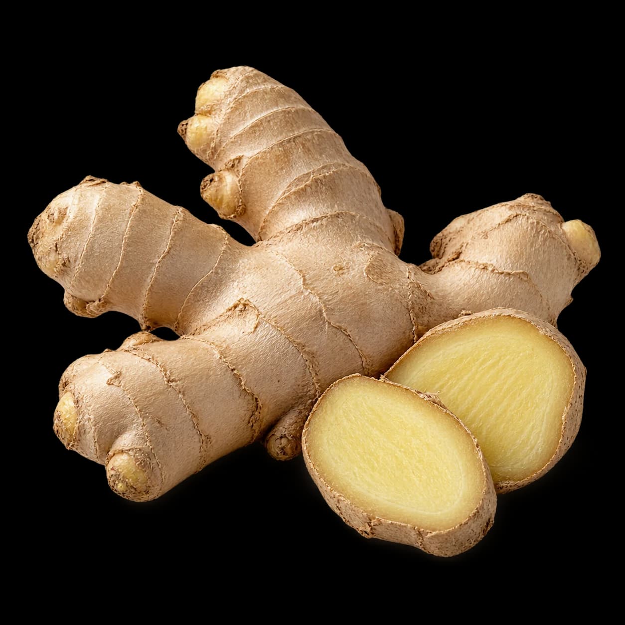 Gingembre — الزنجبيل, rhizome
